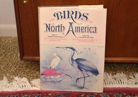 The Birds of North America Studer's Popular Ornithology Book