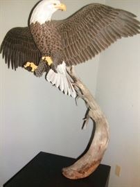 This item is on consignment at a different location please call Justus for more information at 901-210-6243  -  " MAJESTIC FLIGHT" 1986 - WOOD CAVING ALMOST LIFESIZED ON PATESTAL APPROX. 6 FEET HIGH   -  BALDEAGLE BY DAVE AND MARY ARNDNT OF MINNESOTO  SEE MORE INFORMATION IN NEXT PICTURE.   THIS IS ON CONSIGNMENT AT A DIFFERENT LOCATION CALL JUSTUS FOR MORE INFORMATION   901-210-6243