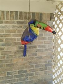 toucan bird handing in patio 