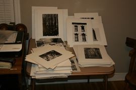 Black & White Photo Collection by A. Freeman