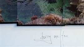 Darry Melton Photo Collage - CA Coast Tidepools 14"x42"
