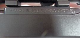 Ruger 10-22 Semiautomatic .22 Cal Rifle with Tactical Stock.