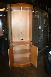 Wonderful display case that lights up