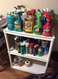 Cleaning supplies of all kinds.