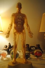 Clear body with inside for learning - 1960s