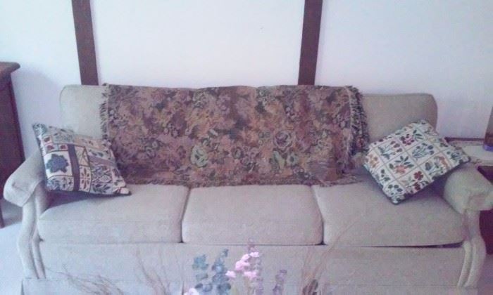 Tan hide a bed sofa   $25
