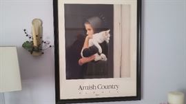 Beautiful Amish girl picture with a cat