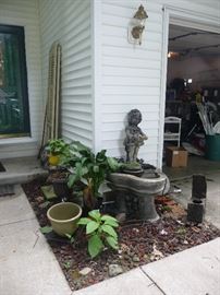 House plants and pots are for sale