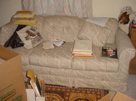 Sofa in the spare bedroom, books, rugs, and more
