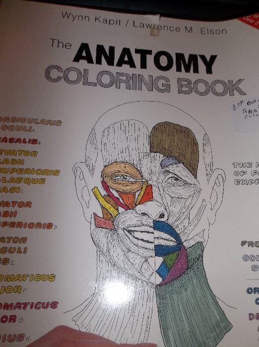 170 page anatomy coloring book