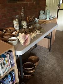 Shells, stones and crystals 