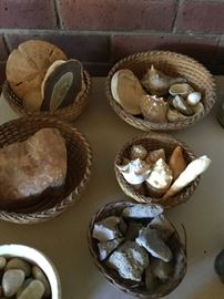 Shells