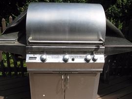 Outdoor gas grill