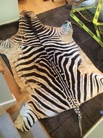 Gigantic African Zebra Hide 