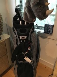 Sun Mountain ladies golf bag and Ping club