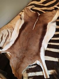 Deer hyde. Died in it's sleep. I hope.