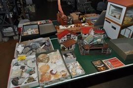 Rock and shell collections