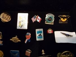 Pins and brooches