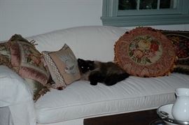 download 6406 001  Copy