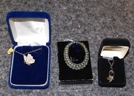 Costume Jewelry Necklaces & Brooch
