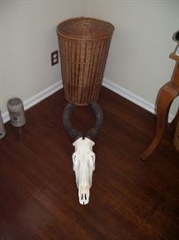  Red Hartebeest skull, horns and skin