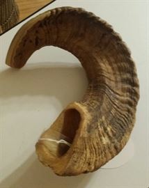 Ram horn