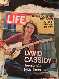 VINTAGE LIFE David Cassidy and Disney opens not pictured 