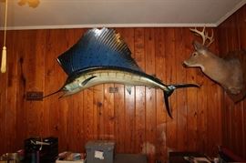 Sail Fish. The Deer is not for sale!