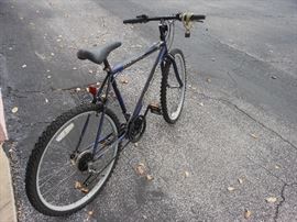 Men's Bike - 15 speed