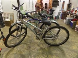 Schwinn Ranger and Super Cruiser Seven