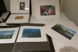 Professional Photographs of Lake Calhoun