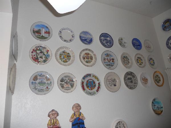 Plates from all over the United States