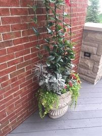 OUTDOOR DECOR'--LIVE PLANTS & FLOWER ARRAGEMENTS