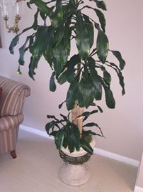 INDOOR LIVE PLANT--HOME DECOR'
