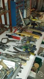 Tools, tools, tools!! Much hand tools, outdoor, lawn and ladders