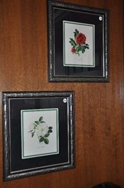 Beautiful Framed Vintage Botanicals