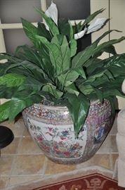 Another Asian Fishbowl to choose from 