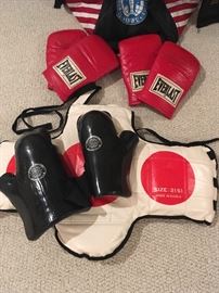 Taekwondo youth chest pad, hand pads & bag