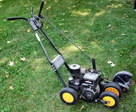 McLane Power Lawn Edger