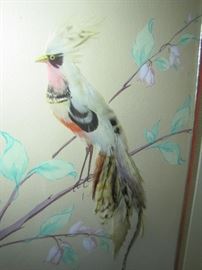 Unusual set of four bird pictures with real feathers