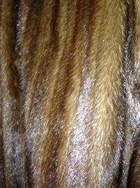 Detail of beautiful mink