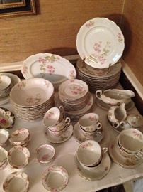 Schwarzenhammer Porcelain dinner service, china from Germany, Charlotte pattern