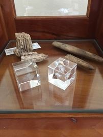 Fossils and minerals