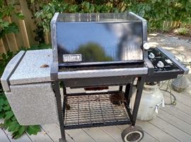 Weber gas grill