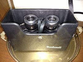 Bushnell binoculars 