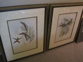 John Gould (1804-1881) Cometes Phaon,
framed lithographs with hand-colouring (2)