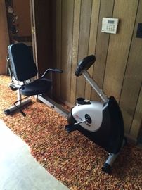 #60 Active 20 Scwann exercise bike $150
