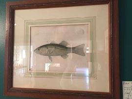 Hand Colored Lithograph, circa 1800's