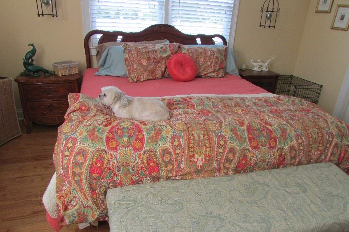 Pottery Barn Quilt and duvet...dog is modeling the comfort of the duvet.