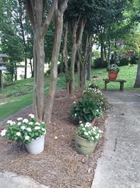 Outdoor pots, benches, and more!